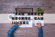 “木头姐”旗舰基金重新建仓英伟达，买入逾1800万美元