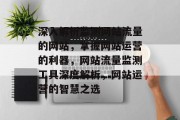 深入解析监测网站流量的网站，掌握网站运营的利器，网站流量监测工具深度解析，网站运营的智慧之选