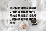 揭秘网站自然流量游戏，如何吸引海量用户？网站自然流量游戏攻略，揭秘吸引海量用户的秘密