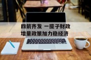 四箭齐发 一揽子财政增量政策加力稳经济