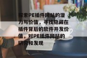 探索PE插件网站的潜力与价值，寻找隐藏在插件背后的软件开发价值，对PE插件网站的研究和发现