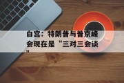 白宫：特朗普与普京峰会现在是“三对三会谈”