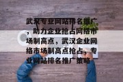 武汉专业网站排名推广，助力企业抢占网络市场制高点，武汉企业网络市场制高点抢占，专业网站排名推广策略