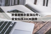 折叠屏概念震荡拉升，宜安科技20CM涨停