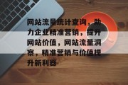 网站流量统计查询，助力企业精准营销，提升网站价值，网站流量洞察，精准营销与价值提升新利器