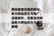 揭秘查看流量的网站，助力网站优化与推广，深度解析，流量监控网站助力网站优化与推广策略