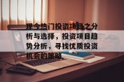 现今热门投资项目之分析与选择，投资项目趋势分析，寻找优质投资机会的策略