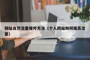 网站自然流量提升方法（个人网站如何提高流量）