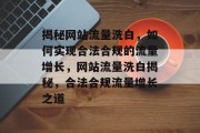 揭秘网站流量洗白，如何实现合法合规的流量增长，网站流量洗白揭秘，合法合规流量增长之道