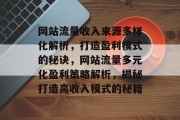 网站流量收入来源多样化解析，打造盈利模式的秘诀，网站流量多元化盈利策略解析，揭秘打造高收入模式的秘籍