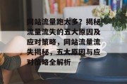 网站流量跑太多？揭秘流量流失的五大原因及应对策略，网站流量流失揭秘，五大原因与应对策略全解析