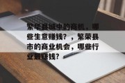 繁华县城中的商机,哪些生意赚钱?,繁荣县市的商业机会,哪些行业最赚钱?