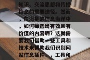 在当今的信息时代，网络已经成为了人们获取知识、交流思想和传播信息的重要途径。然而，在海量的信息海洋中，如何筛选出有效且有价值的内容呢？这就需要我们借助一些工具和技术来帮助我们识别网站信息插件。，工具和技术帮你筛选有用网站信息，指南