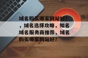 域名购买哪家网站好？，域名选择攻略，知名域名服务商推荐，域名购买哪家网站好？