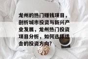 龙州的热门赚钱项目，剖析城市投资与新兴产业发展，龙州热门投资项目分析，如何选择适合的投资方向?