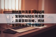 揭秘高效流量获取秘籍，复制网站轻松领流量，流量获取攻略，揭秘复制网站高效引流秘诀