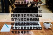 揭秘临沂网站制作公司6，专业服务助力企业数字化转型，临沂专业网站制作公司助力企业数字化转型升级揭秘，临沂网站制作公司6，助力企业数字化转型的专业服务解析