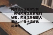 网站访问流量IP分析，揭秘网站流量背后的秘密，网站流量秘密大揭秘，IP分析洞察访问真相