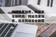 网站流量加密，网络安全新防线，网站流量加密，筑牢网络安全新壁垒