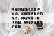 揭秘网站访问流量IP查询，掌握数据背后的秘密，网站流量IP查询揭秘，解码数据背后的真相