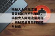 揭秘大人网站流量，流量背后的秘密与策略，揭秘大人网站流量奥秘，揭秘流量背后的策略与秘密