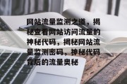 网站流量监测之道，揭秘查看网站访问流量的神秘代码，揭秘网站流量监测密码，神秘代码背后的流量奥秘