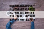 探寻黄梅县最具价值产业，农业经济的多元增长，黄梅县农业经济多元增长探索，以产业视角剖析当地经济发展特色