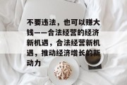 不要违法，也可以赚大钱——合法经营的经济新机遇，合法经营新机遇，推动经济增长的新动力
