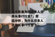 二十年来为何许多人选择从事IT行业?，原因分析，为什么许多人选择从事IT行业