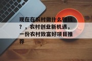 现在在农村做什么赚钱?,农村创业新机遇,一份农村致富好项目推荐 现在在农村做什么赚钱?,农村创业新机遇,一份农村致富好项目推荐