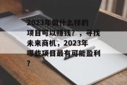 2023年做什么样的项目可以赚钱？，寻找未来商机，2023年哪些项目最有可能盈利?