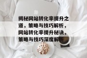 揭秘网站转化率提升之道，策略与技巧解析，网站转化率提升秘诀，策略与技巧深度解析