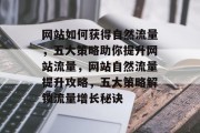 网站如何获得自然流量，五大策略助你提升网站流量，网站自然流量提升攻略，五大策略解锁流量增长秘诀