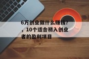 6万创业做什么赚钱？，10个适合初入创业者的盈利项目