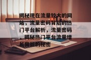 揭秘现在流量较大的网站，流量密码背后的热门平台解析，流量密码，揭秘热门平台流量增长背后的秘密