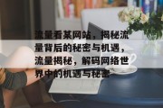 流量看某网站，揭秘流量背后的秘密与机遇，流量揭秘，解码网络世界中的机遇与秘密