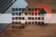 深度解析，统计监控网站流量，助力企业优化运营策略，网站流量深度解析，企业运营策略优化指南