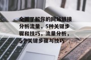 全面了解你的网站链接分析流量，5种关键步骤和技巧，流量分析，5个关键步骤与技巧