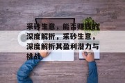 采砂生意，能否赚钱的深度解析，采砂生意，深度解析其盈利潜力与挑战