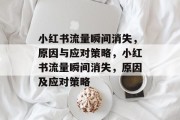 小红书流量瞬间消失，原因与应对策略，小红书流量瞬间消失，原因及应对策略