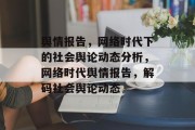 舆情报告，网络时代下的社会舆论动态分析，网络时代舆情报告，解码社会舆论动态