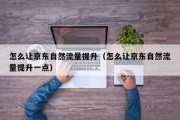 怎么让京东自然流量提升（怎么让京东自然流量提升一点）