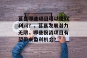 莒县哪些项目可以赚取利润?,莒县发展潜力无限,哪些投资项目有望带来盈利机会?