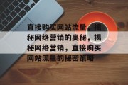 直接购买网站流量，揭秘网络营销的奥秘，揭秘网络营销，直接购买网站流量的秘密策略