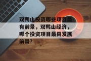 双鸭山投资哪些项目最有前景,双鸭山经济,哪个投资项目最具发展前景?