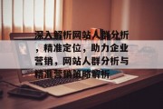 深入解析网站人群分析，精准定位，助力企业营销，网站人群分析与精准营销策略解析