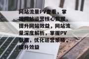 网站流量PV查看，掌握网站运营核心数据，提升网站效益，网站流量深度解析，掌握PV数据，优化运营策略，提升效益