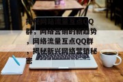 揭秘网站流量互点QQ群，网络营销的新趋势，网络流量互点QQ群，揭秘新兴网络营销秘密