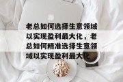 老总如何选择生意领域以实现盈利最大化,老总如何精准选择生意领域以实现盈利最大化