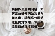 揭秘办流量的网站，如何高效提升网站流量与知名度，揭秘高效网站流量提升攻略，专业办流量网站深度解析